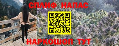 сатива Можга