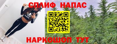 сатива Можга
