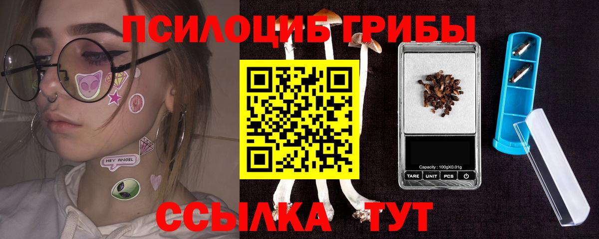 Псилоцибиновые грибы GOLDEN TEACHER  Псилоцибиновые грибы Cubensis  как найти закладки  Сокол  Вход с VPN 